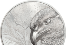 Majestic Eagle