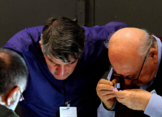 Grundlagen für Sammler. Teil 1: Münzkauf