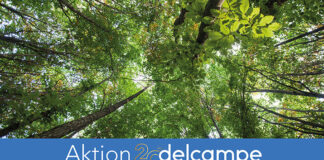 Delcampe feiert 20jähriges Bestehen mit 10.000 Bäumen