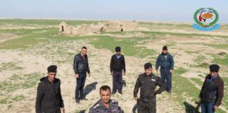 Fälschern auf der Spur