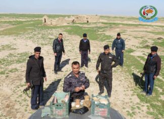 Fälschern auf der Spur