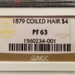 02_Fake NGC Stella insert label