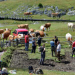 03_Ausgrabungsbeginn-2017