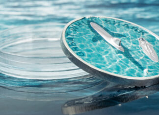 CIT – Great White Shark