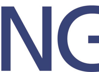 Die Sammlung Partrick: Zwei Brasher Doubloons und weitere Kostbarkeiten