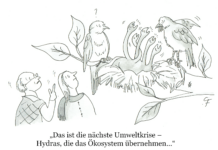 Unser Cartoon: Franklins Welt