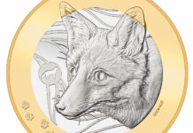 Fuchs beschließt Serie „Schweizer Waldtiere“