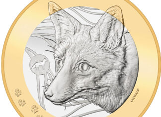 Fuchs beschließt Serie „Schweizer Waldtiere“