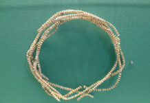 Diese Währung ist Tabu – Schneckengeld aus der Südsee