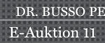 E-Auktion Online-Banner DE 822×62