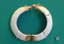 Eine runde Sache – Eberzahngeld aus Vanuatu