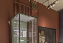 Goldmünzen und Schlangen: Was Archäologen im Aargau finden