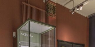 Goldmünzen und Schlangen: Was Archäologen im Aargau finden