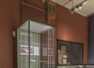 Goldmünzen und Schlangen: Was Archäologen im Aargau finden