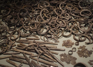 Numismatisches Puzzle: Schatzinsel Gotland