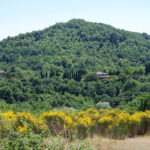 01-The hill of Cetamura del Chianti