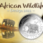 Onlinebanner Elefanten 2022_V2