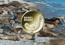 Deutschlands 20-Euro-Sammlermünze „Kegelrobbe“