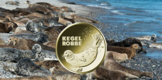 Deutschlands 20-Euro-Sammlermünze „Kegelrobbe“
