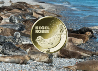 Deutschlands 20-Euro-Sammlermünze „Kegelrobbe“