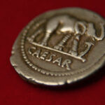 00-MPZ-Caesar_Still_02-vorne