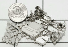 „Platinum“: die erste Schweizer Sondermünze in Platin