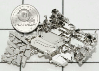 „Platinum“: die erste Schweizer Sondermünze in Platin