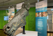 Sonderausstellung: Antike in Bayern