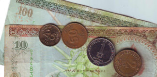 Das Mädchen, das (fast) alle Geldscheine kennt