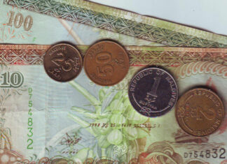 Das Mädchen, das (fast) alle Geldscheine kennt