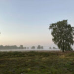 02-Natuurgebied Springendal (foto Bart ten Buuren)