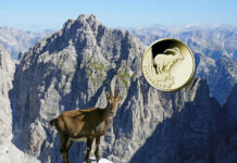 „Steinbock“ setzt Deutschlands Gold-Serie „Rückkehr der Wildtiere“ fort