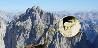 „Steinbock“ setzt Deutschlands Gold-Serie „Rückkehr der Wildtiere“ fort