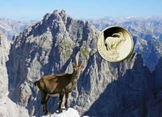 „Steinbock“ setzt Deutschlands Gold-Serie „Rückkehr der Wildtiere“ fort