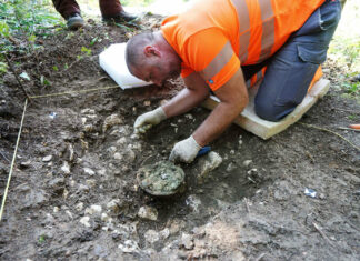 Jackpot – Ein Topf voller spätrömischer Münzen in der Schweiz entdeckt