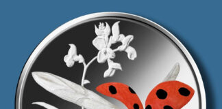 Deutschlands 5-Euro-Sammlermünze „Siebenpunkt Marienkäfer“