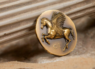 Numismatic Icons – Pegasos