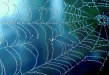 Achtung an alle Ladengeschäfte: Trickbetrüger unterwegs