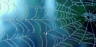 Achtung an alle Ladengeschäfte: Trickbetrüger unterwegs