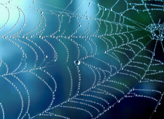 Achtung an alle Ladengeschäfte: Trickbetrüger unterwegs