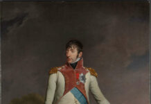 Ein Bonaparte auf Hollands Münzen