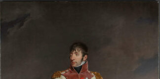 Ein Bonaparte auf Hollands Münzen