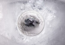 Mount Vinson beschließt CITs Serie „The 7 Summits“