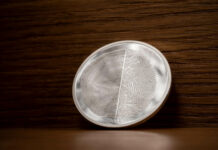 CITs Circles of Life