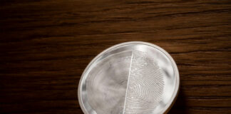 CITs Circles of Life