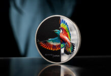 CITs Eclectic Nature – Roller