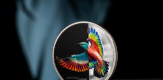 CITs Eclectic Nature – Roller