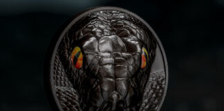 CITs Hunters by Night – Python