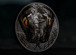 CITs Hunters by Night – Python