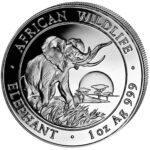 09_71601002009 20_VS